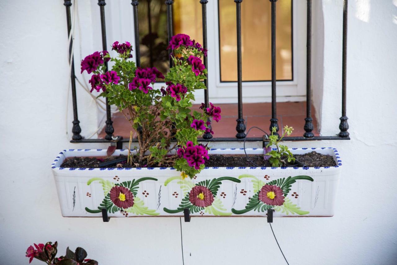 Fuego Blanco Bed & Breakfast Alora Exterior photo